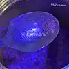 Sheenbow Bulk Order Price Chameleon Pigment Powder for Cosmetic 9535